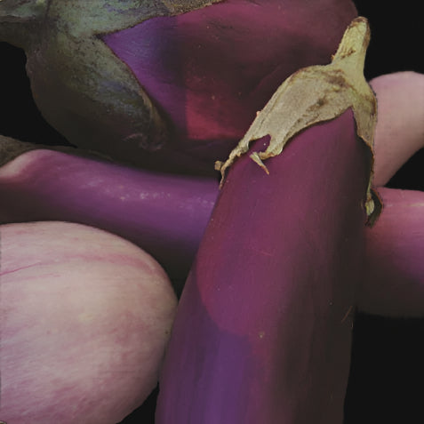 Mixed eggplant seeds