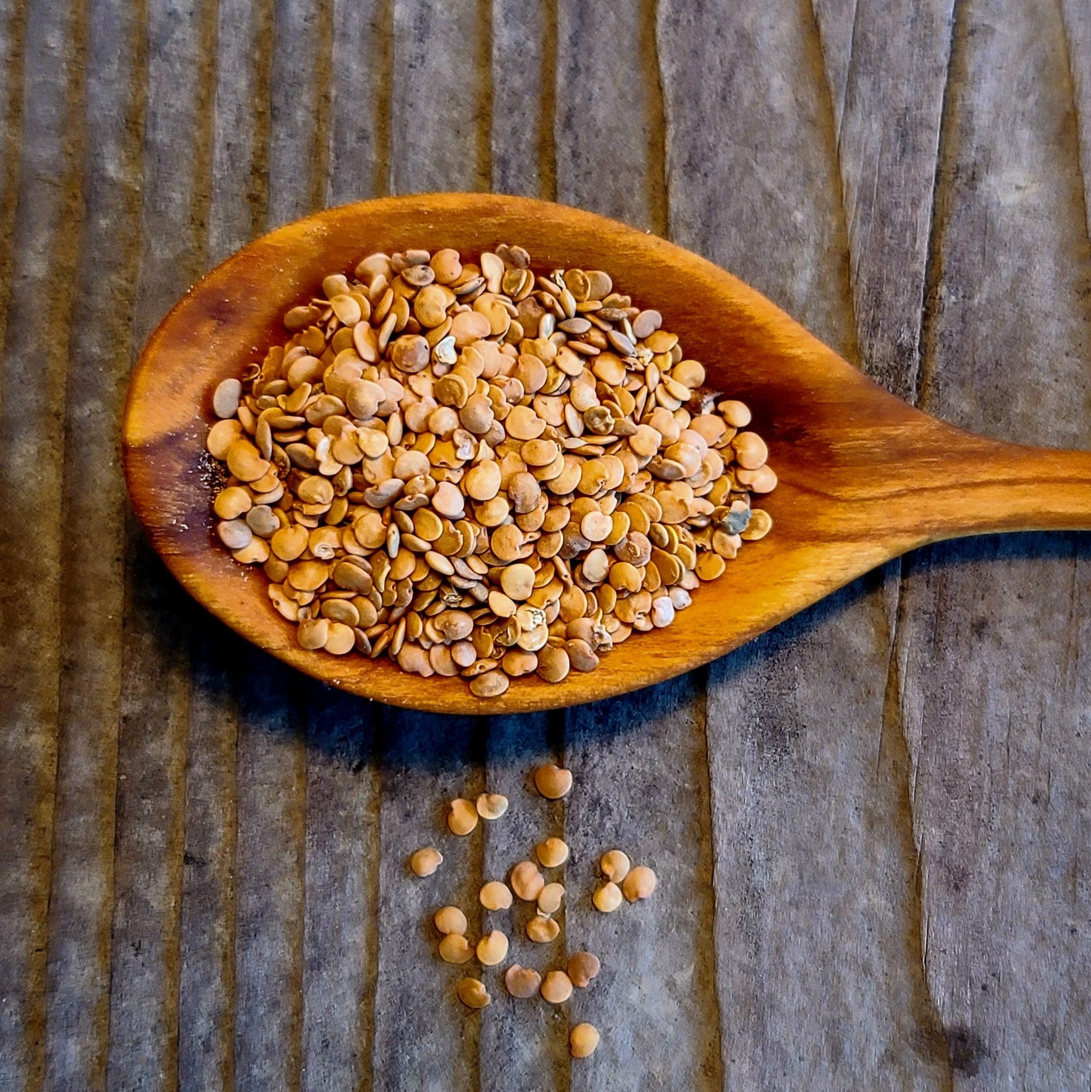Mixed eggplant seeds