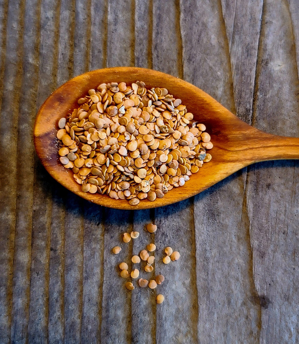 Seeds - Eggplant Diamond