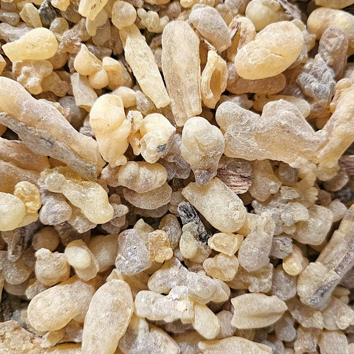 Encen Oliban Mâle (Larmes)