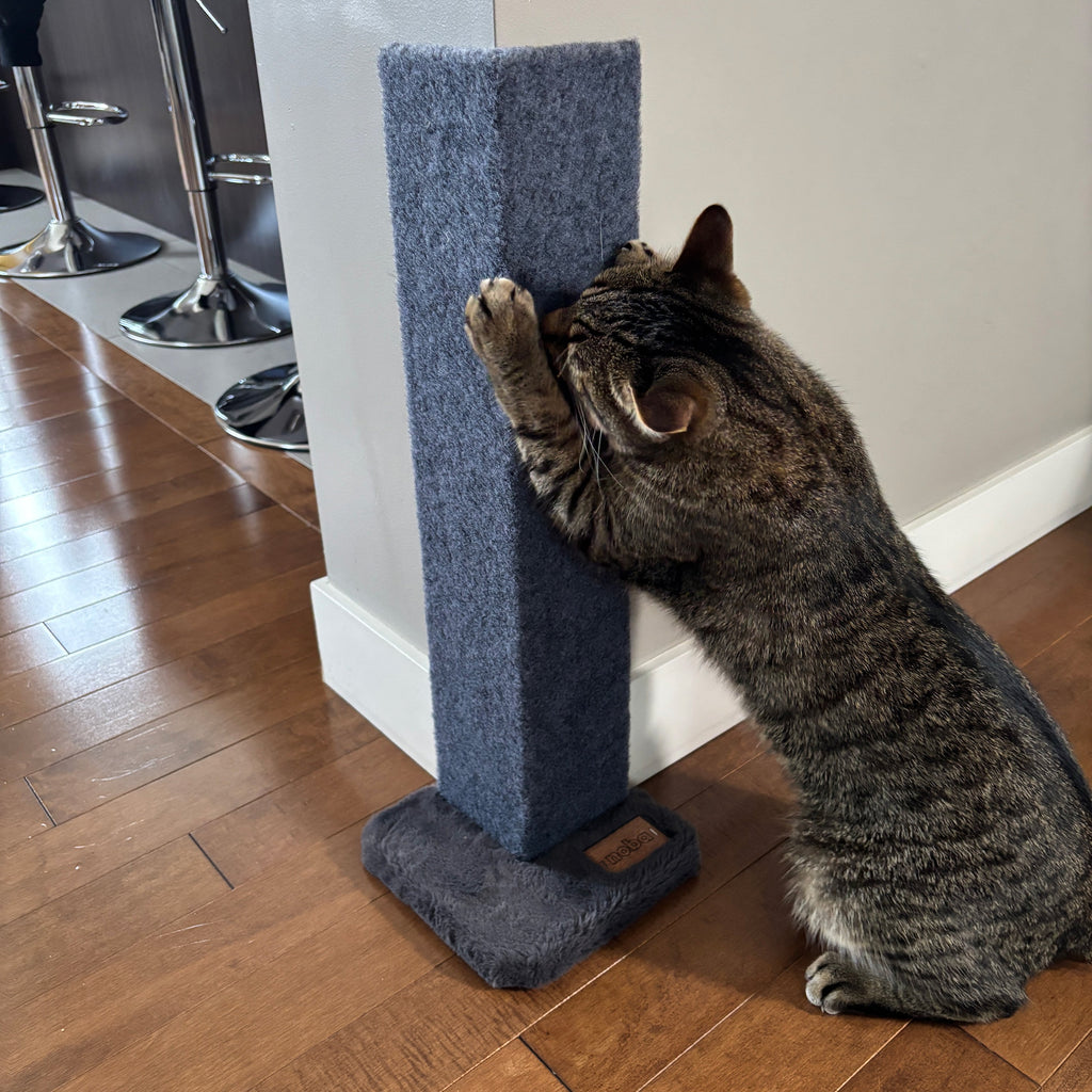 Griffoir et Protecteur d’Angle Noba pour Chat – 23 po
