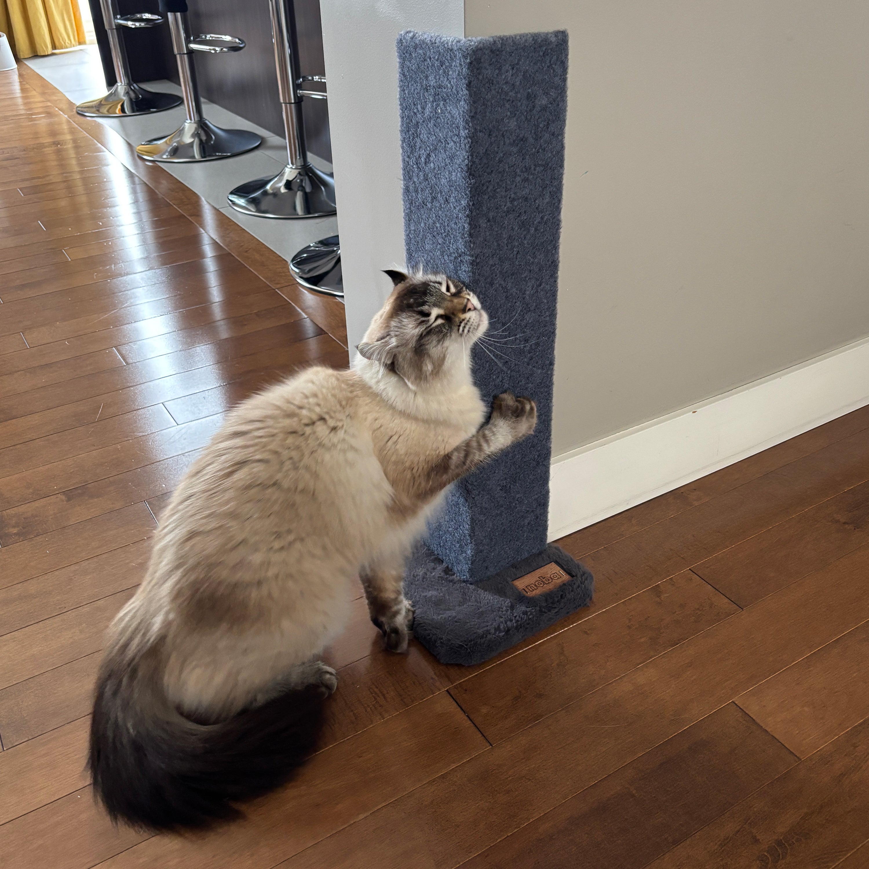 Griffoir et Protecteur d’Angle Noba pour Chat – 23 po