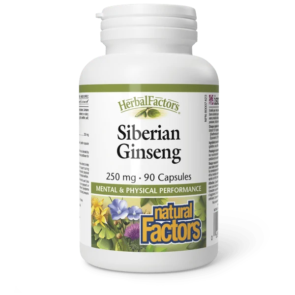 Ginseng de Sibérie