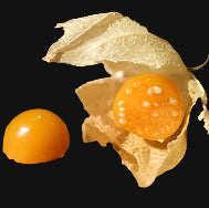 Golden Ground Cherry Seeds