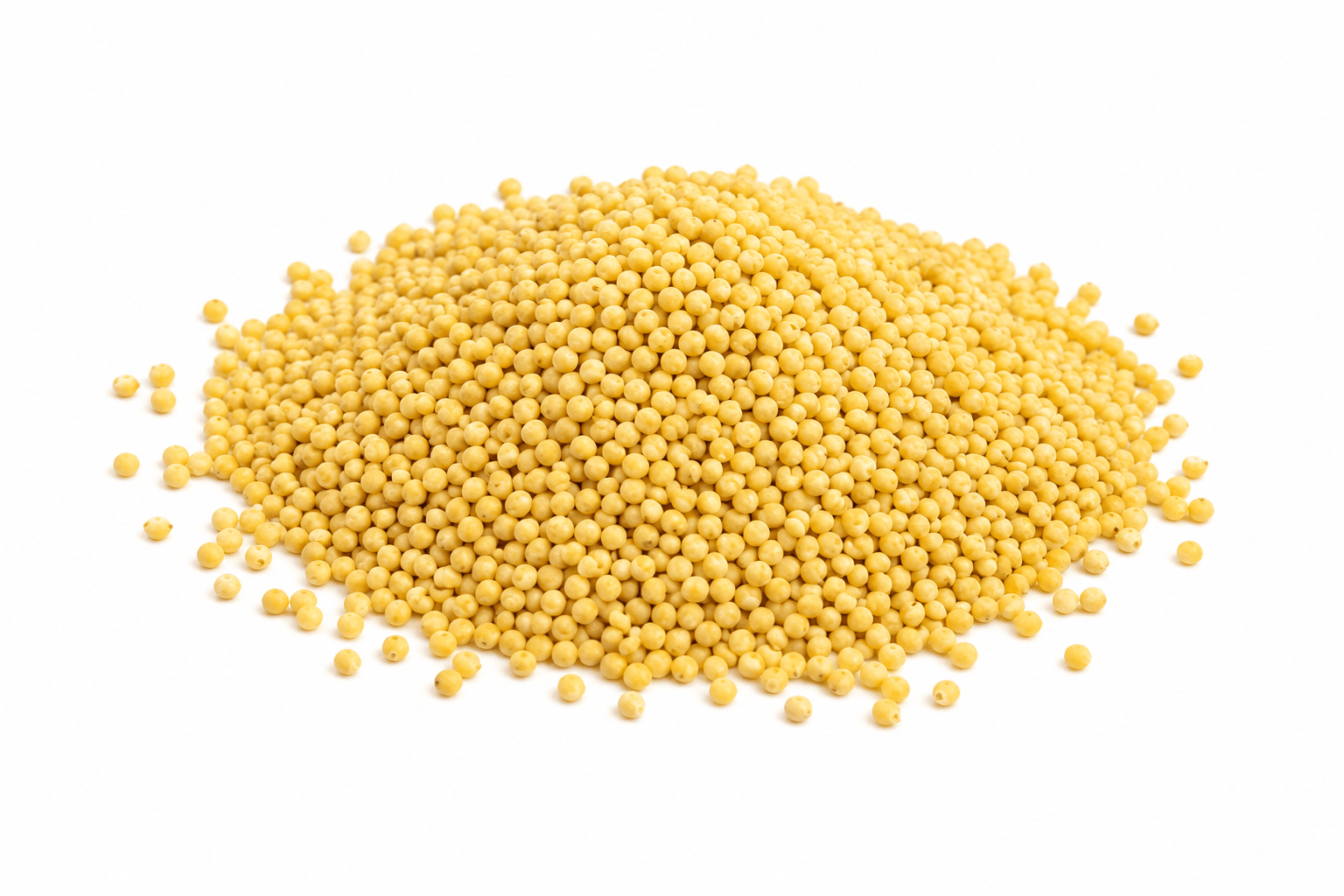Graines de millet crues naturelle