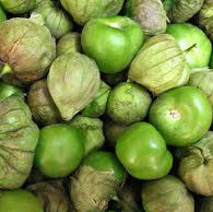 Semences de Tomatille verte