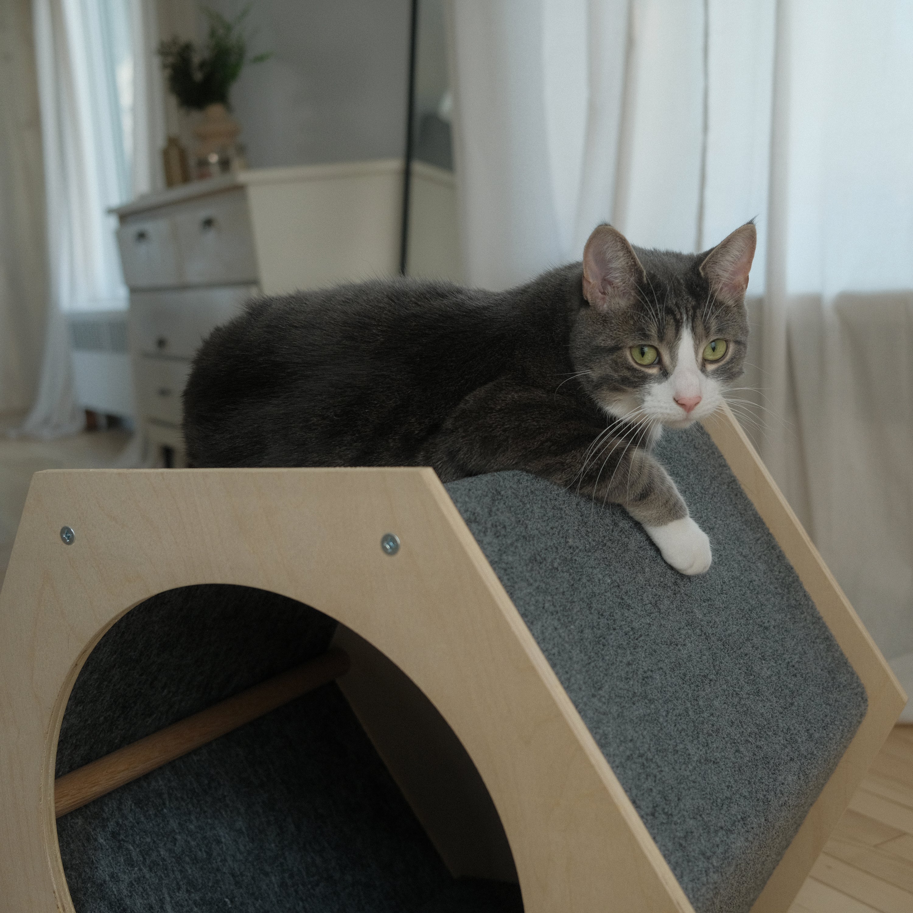 Maison Hexagonale à Griffer pour Chat