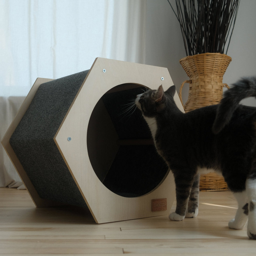 Maison Hexagonale à Griffer pour Chat