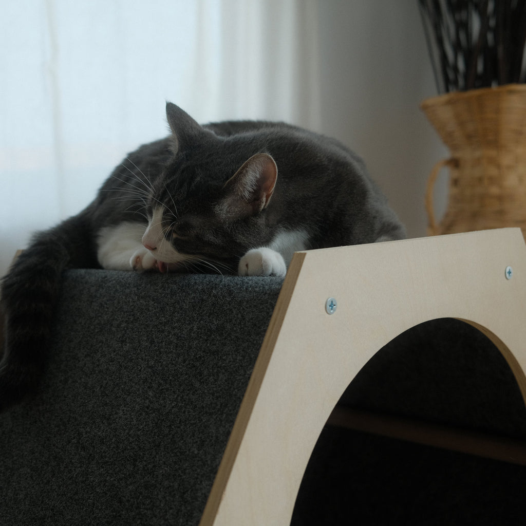 Maison pour Chat