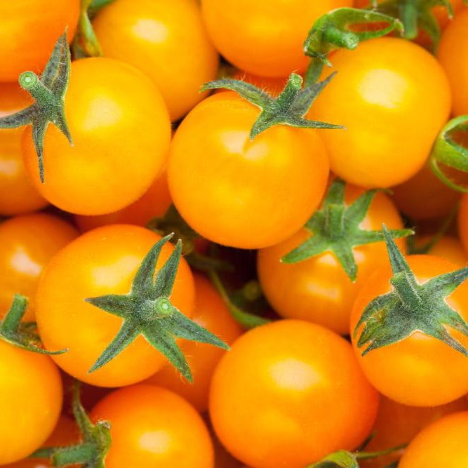 Honey Cherry Tomato Seeds