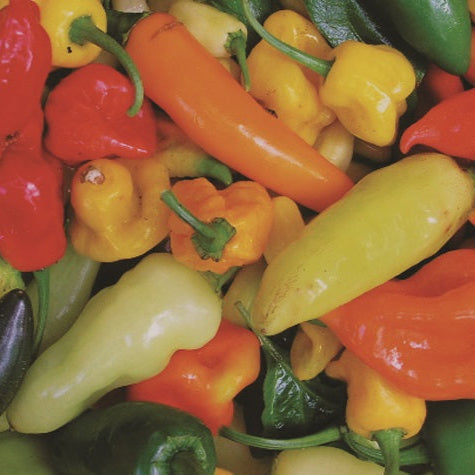 Hot pepper mix seeds