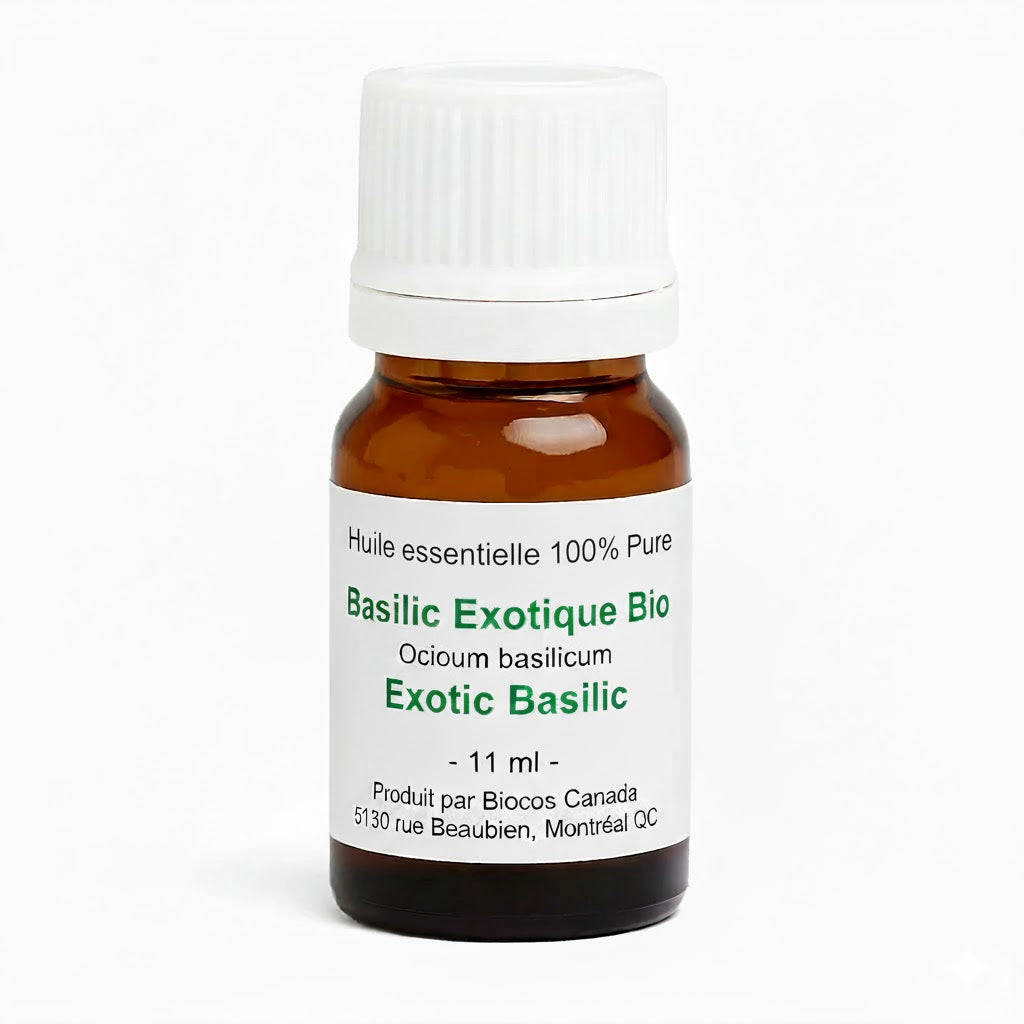 Huile essentielle de Basilic bio