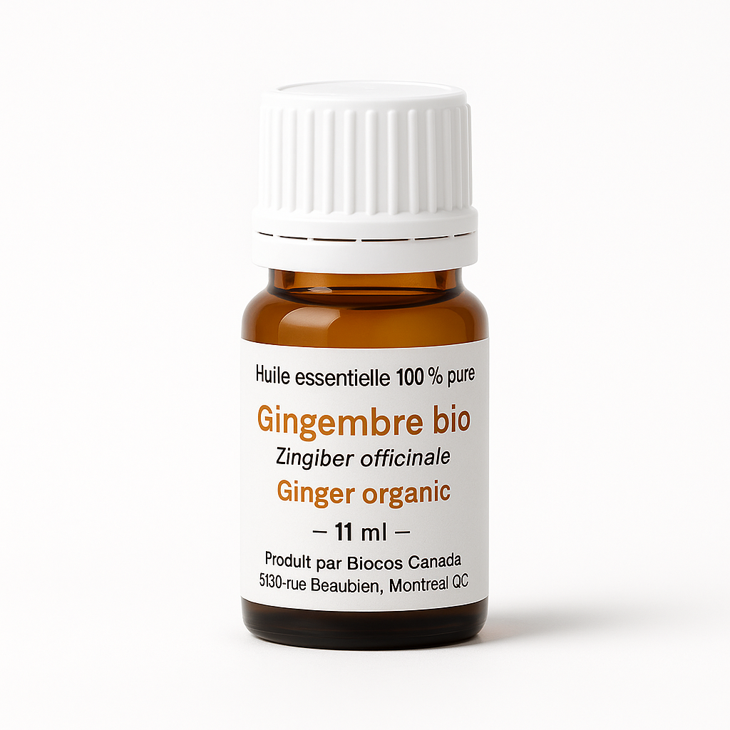 Huile essentielle de Gingembre