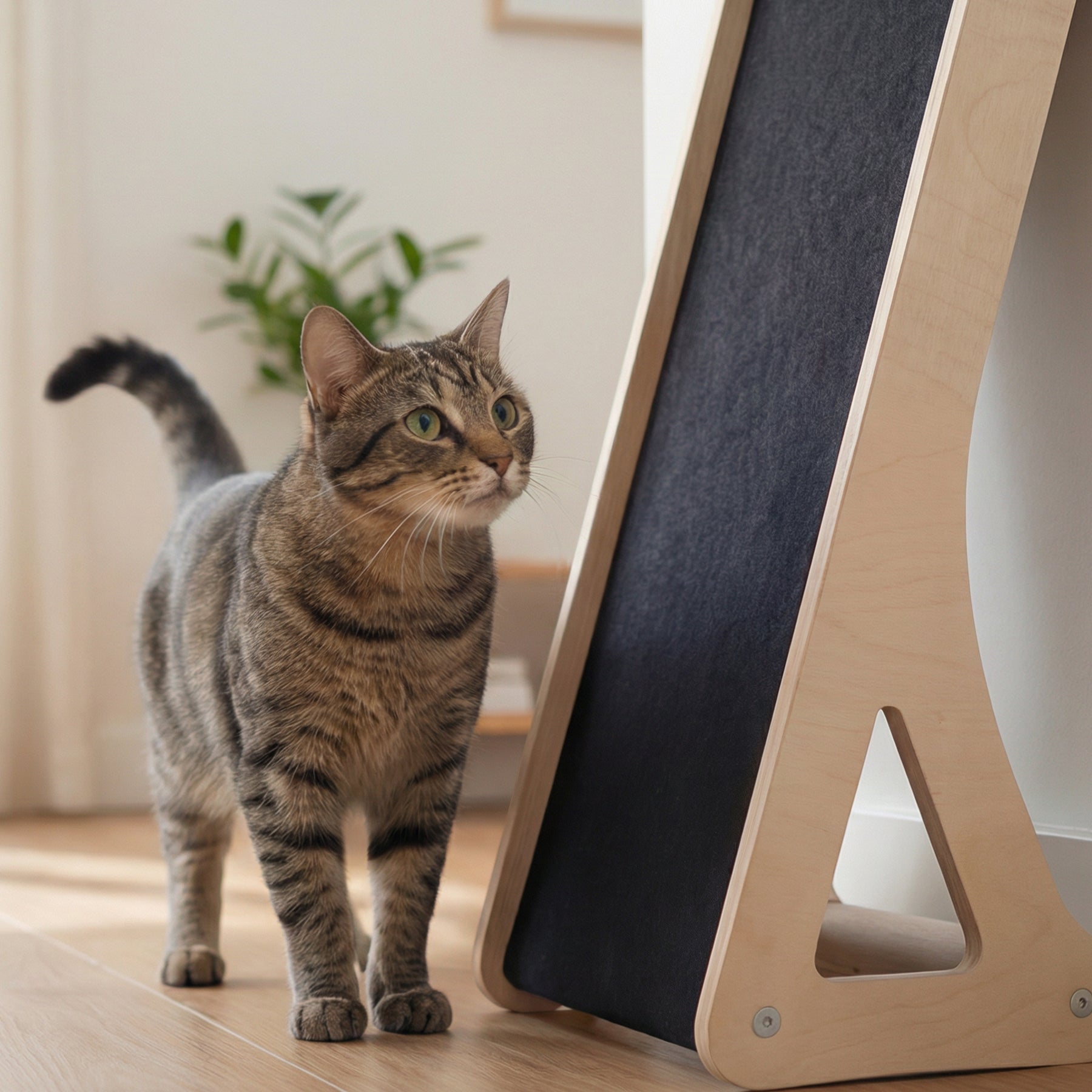 Griffoir Incliné pour Chat – Mur et Sol