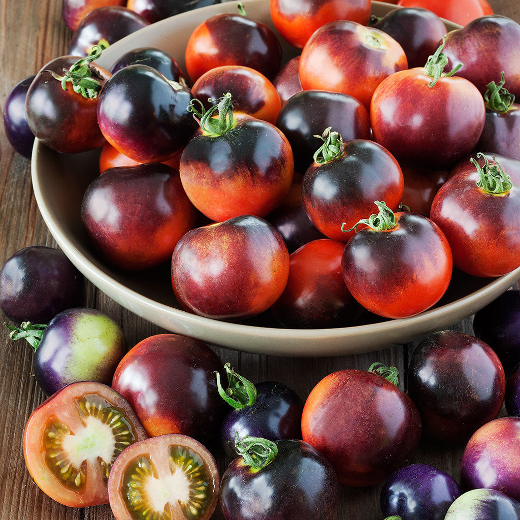 Indigo Rose Tomato seeds