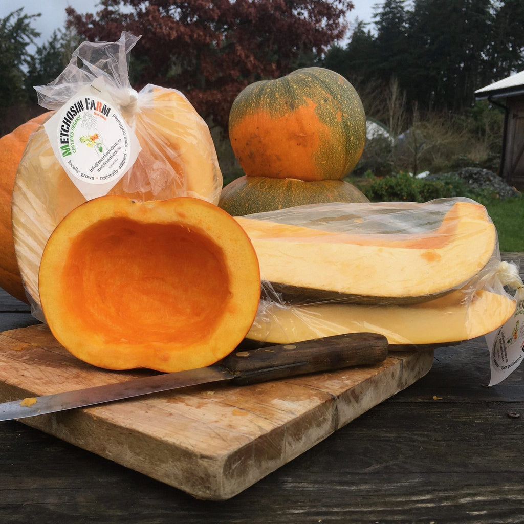 Semences de citrouille Jack O Lantern