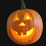 Semences de citrouille Jack O Lantern