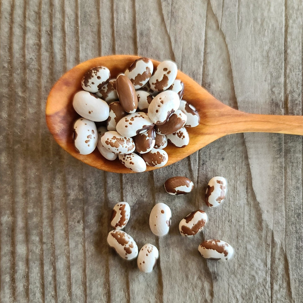 Climbing Bean Seeds