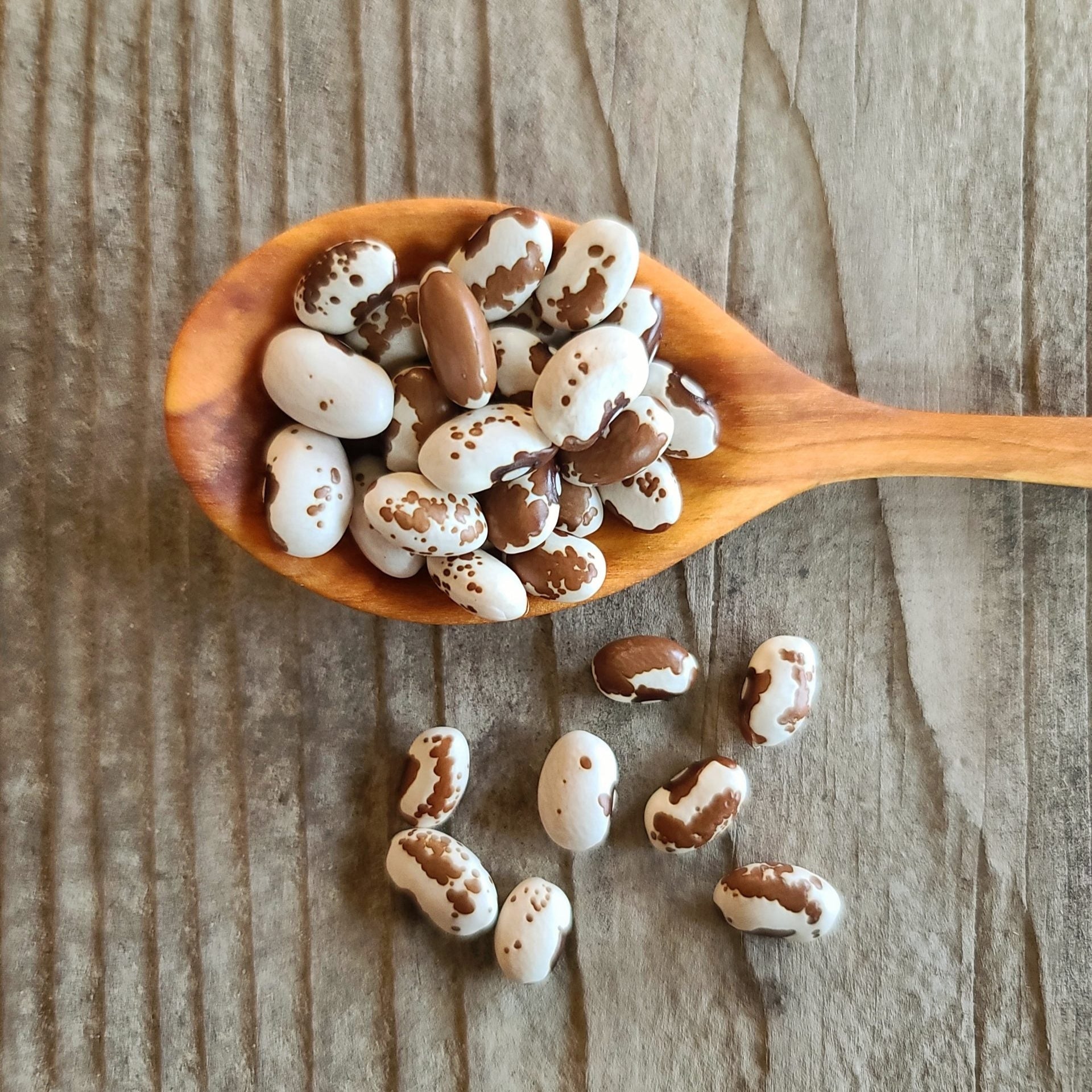 Climbing Bean Seeds