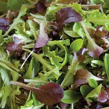 Lettuce Mix Seeds