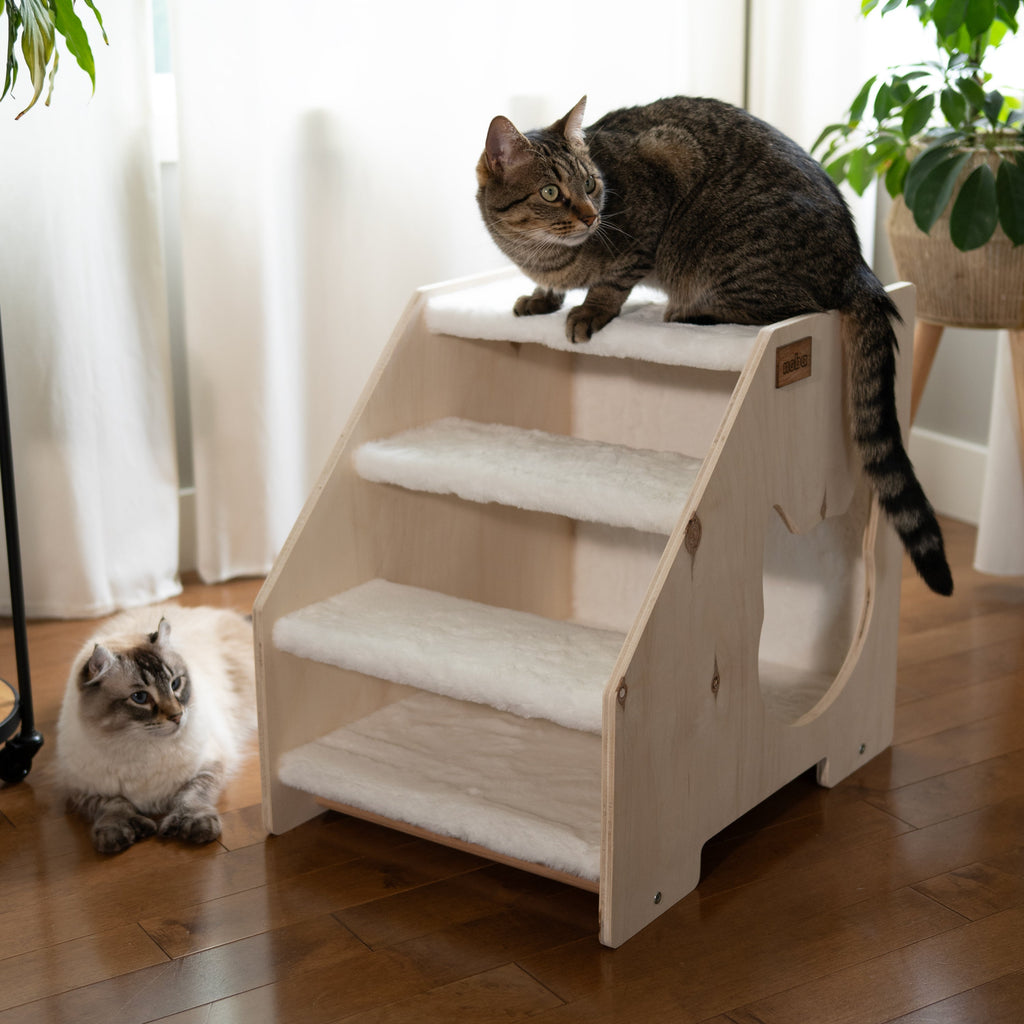 Cachette Escalier