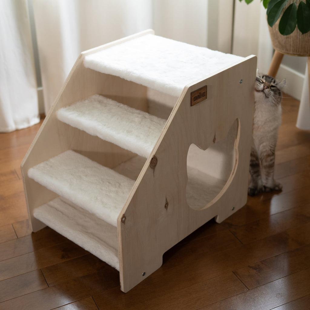 Cachette Escalier