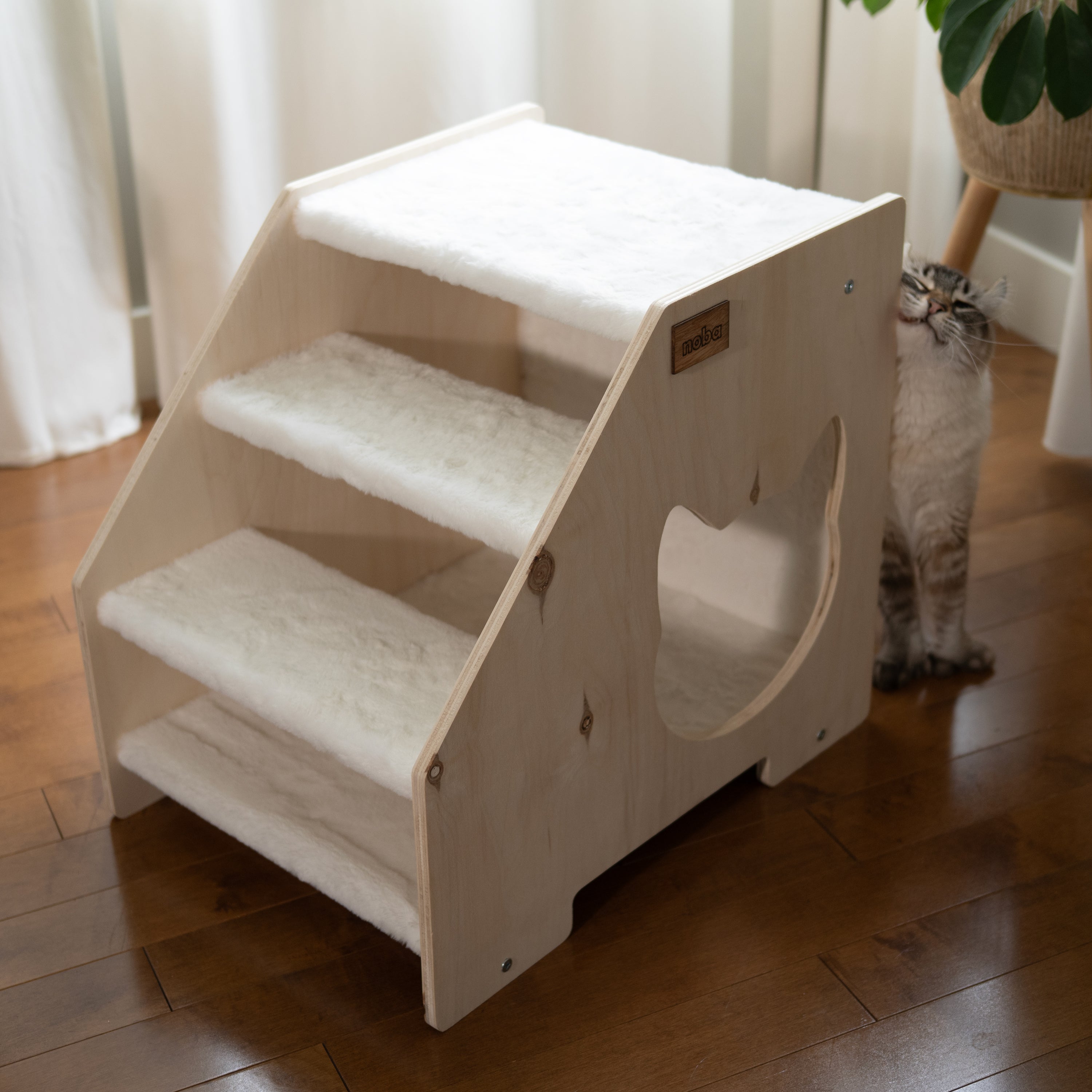 Cachette Escalier