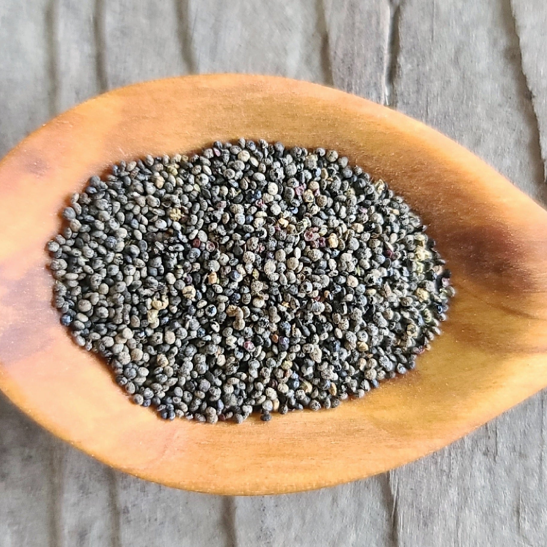 Magenta Spreen Seeds