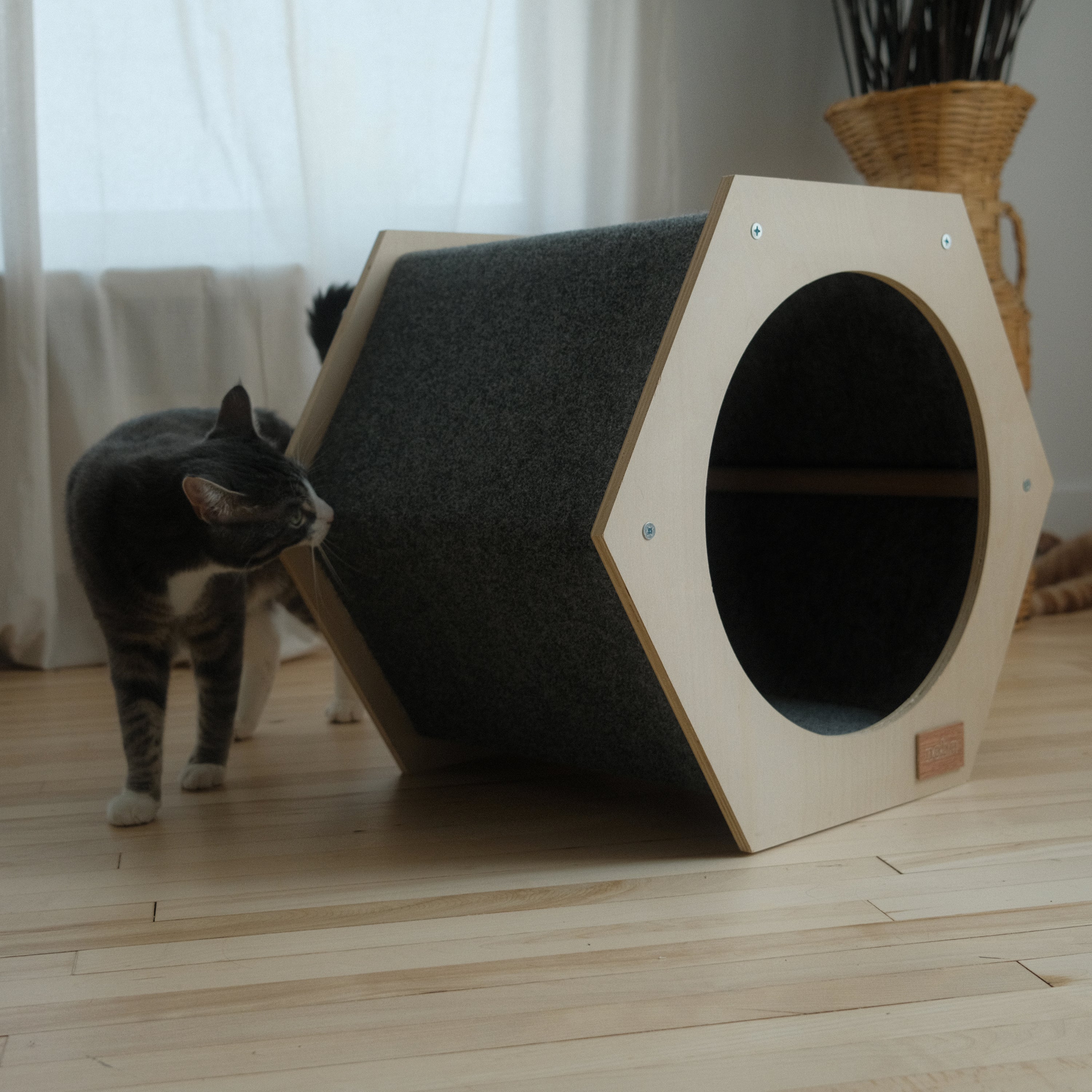 Maison Hexagonale à Griffer pour Chat