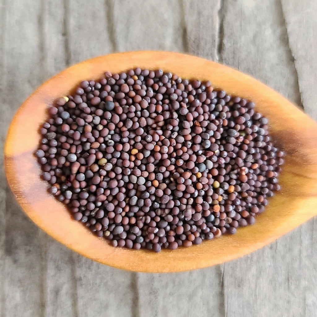 Mizuna Greens Seeds