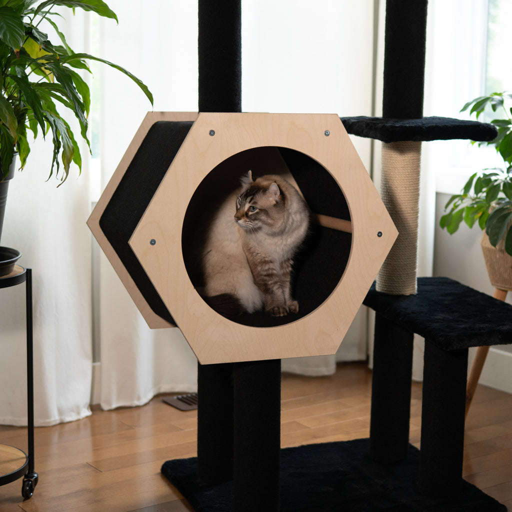 Arbre à chat à 4 niveaux - Hexagon House