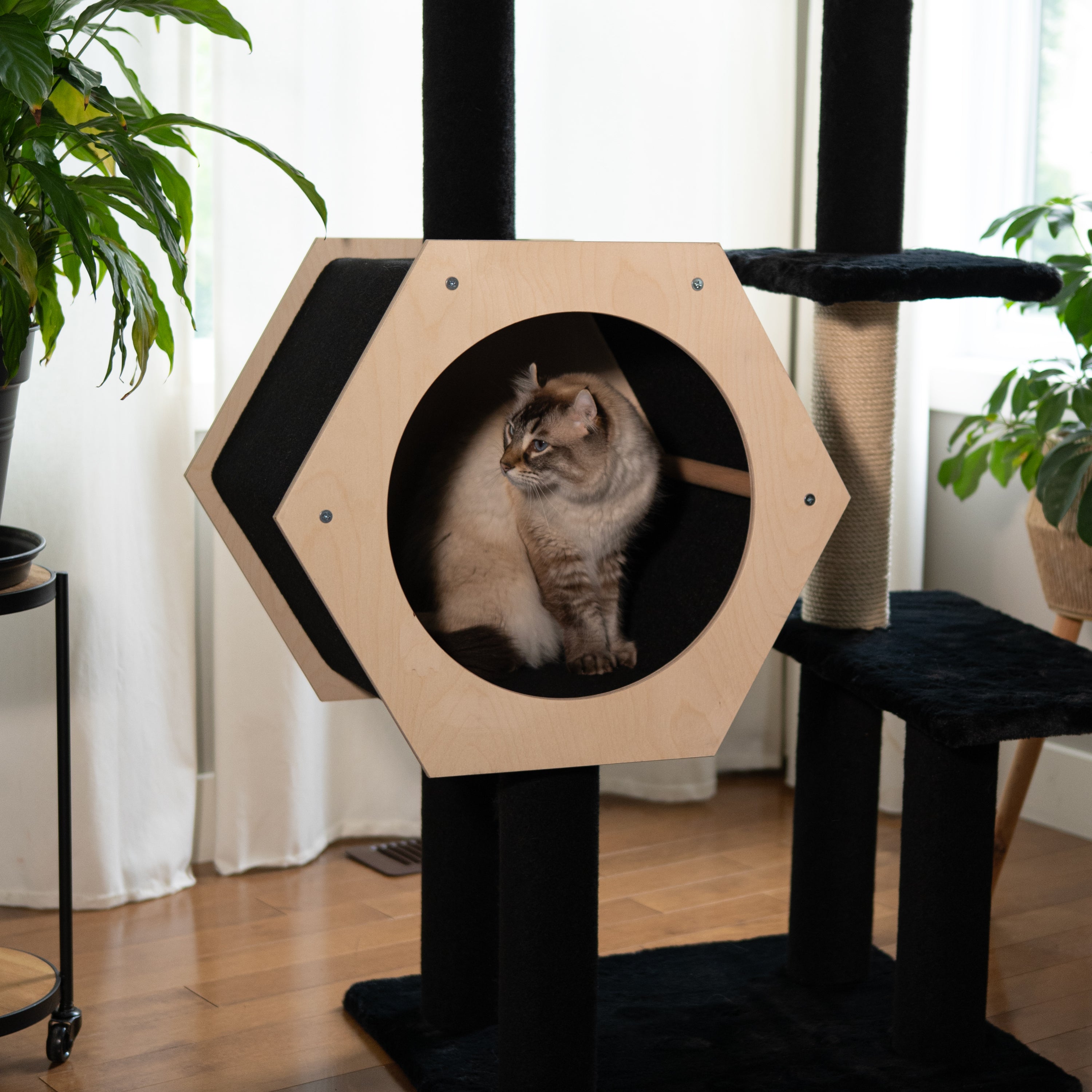 Arbre à chat à 4 niveaux - Hexagon House