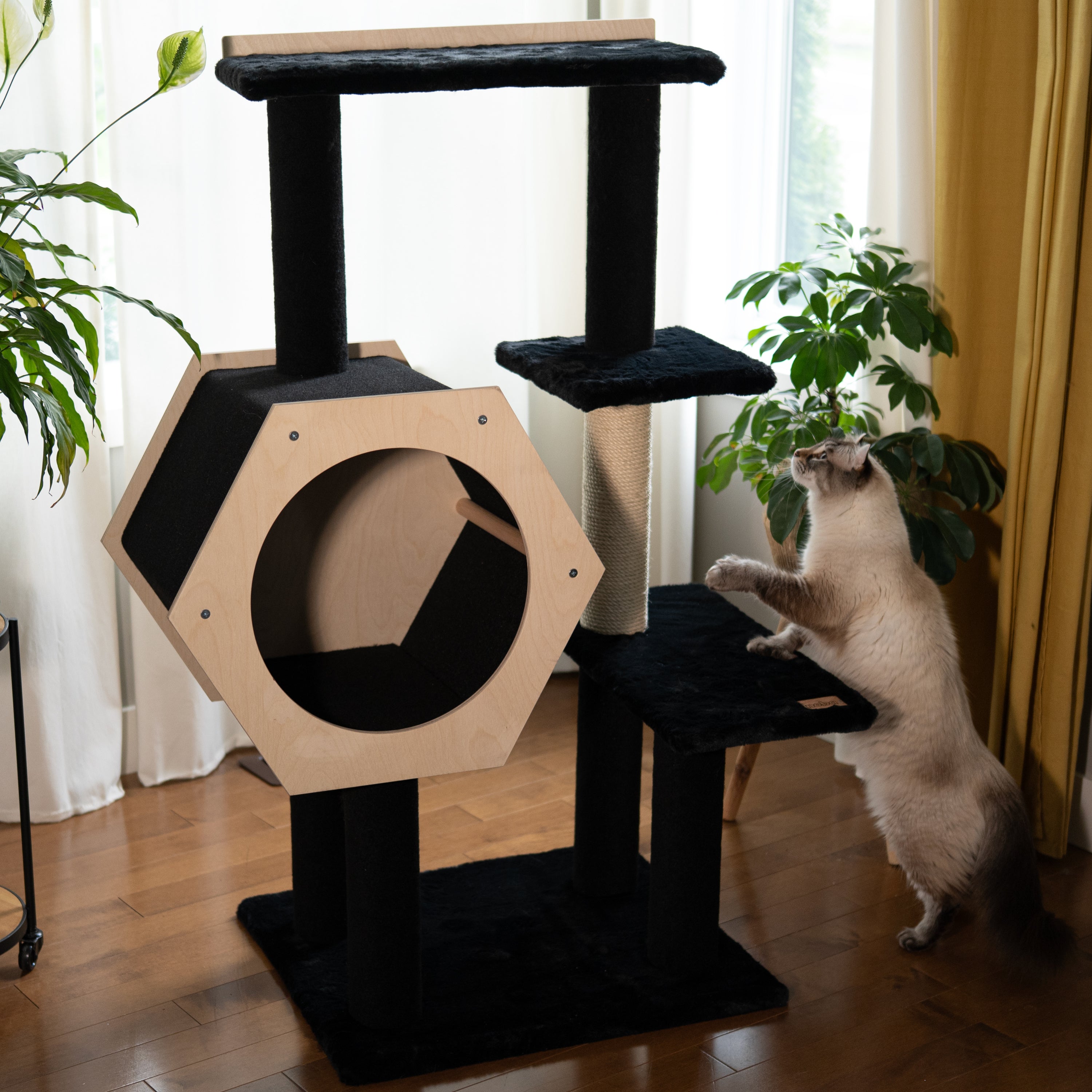 Arbre à chat à 4 niveaux - Hexagon House