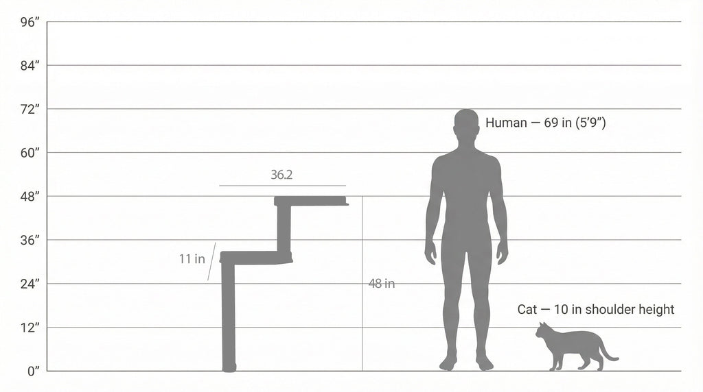 Parcours Mural pour Chat – The Parkour