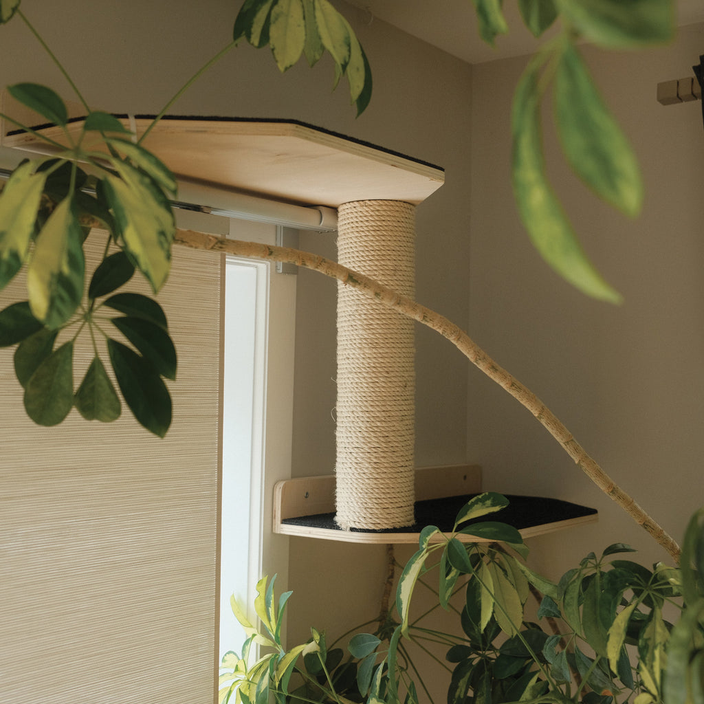Kit Mural Noba – Parcours mural complet pour chats