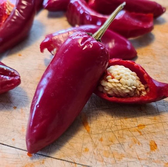 Piment Basque