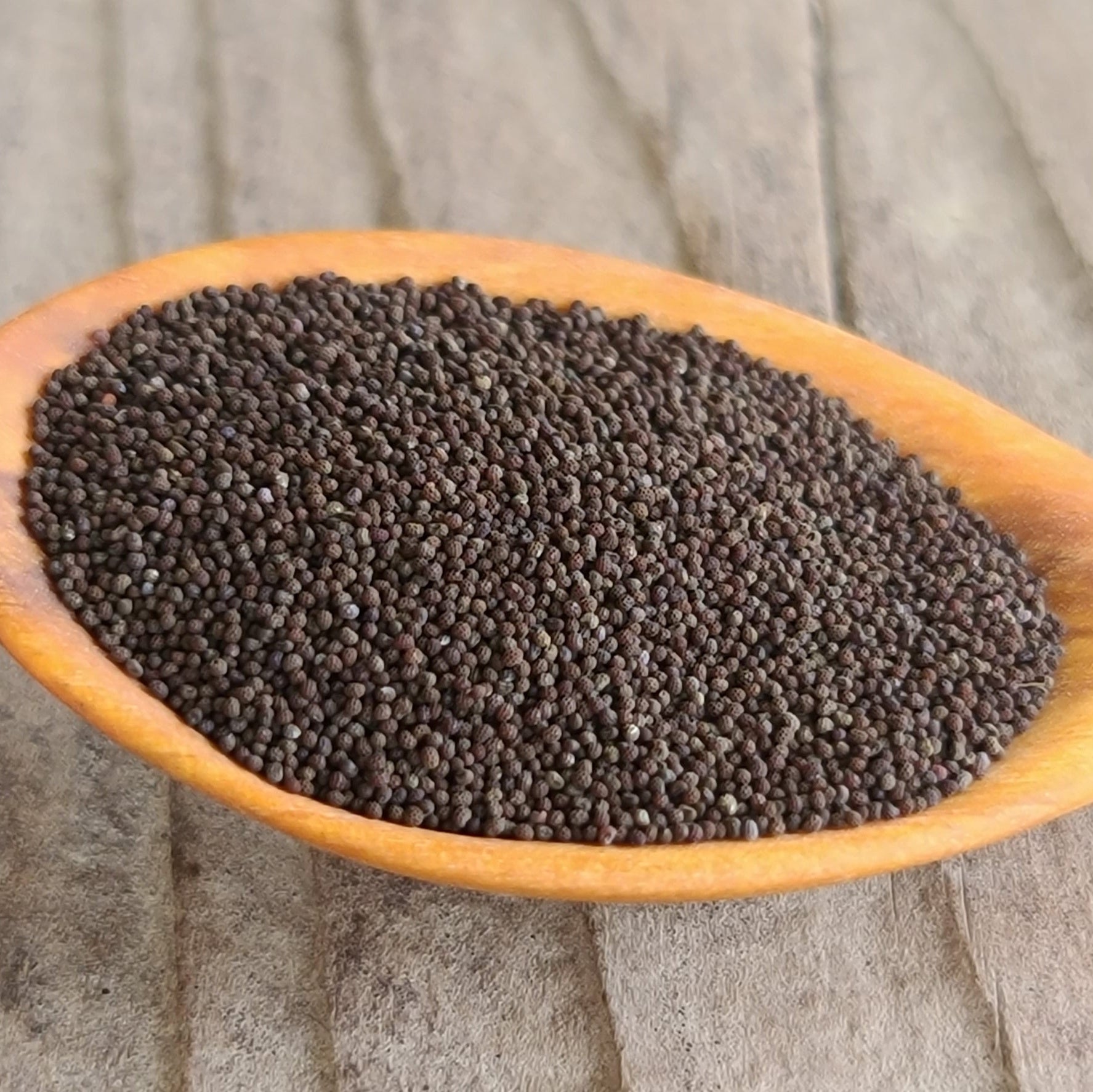 Iceland poppy seeds