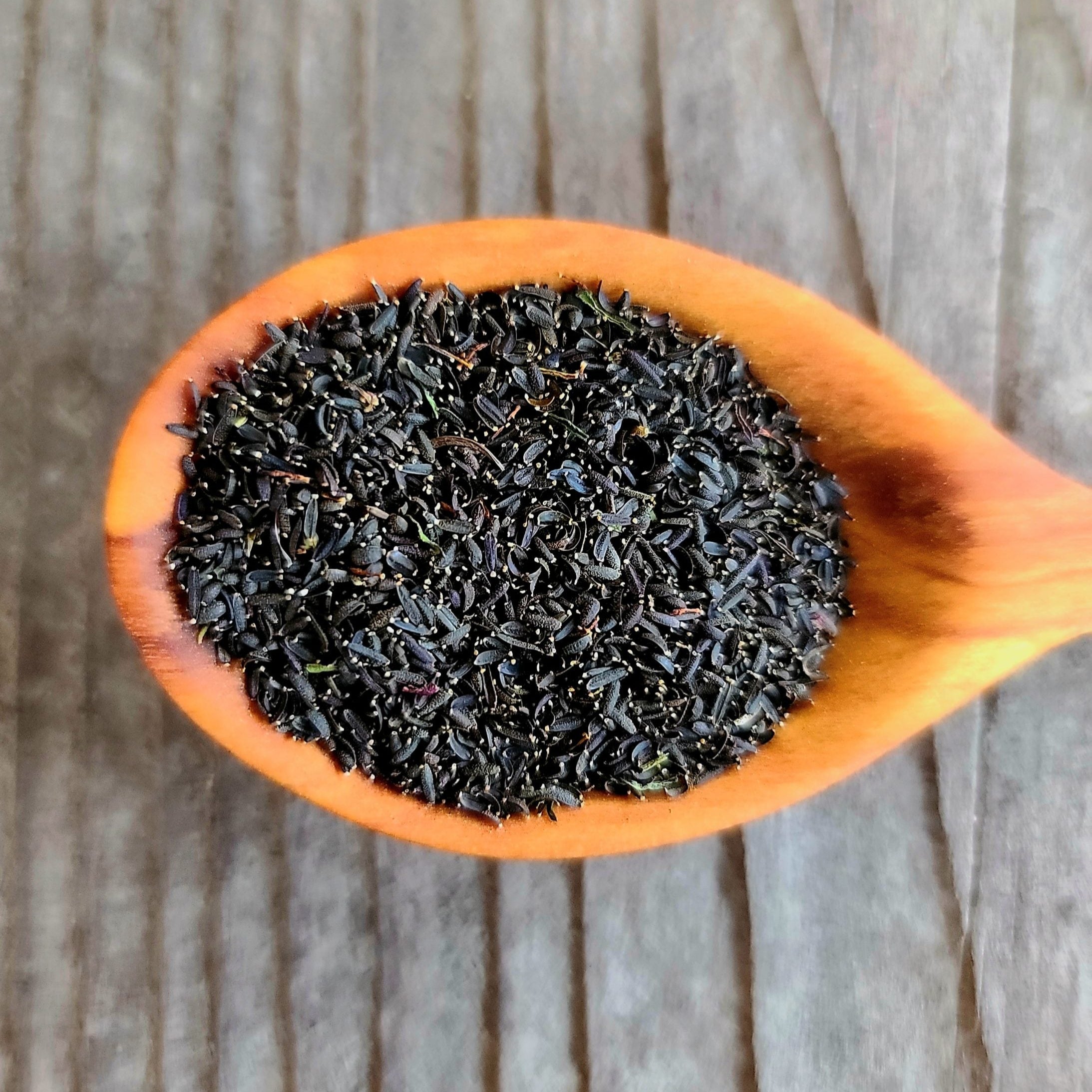 Semences de coréopsis des prairies