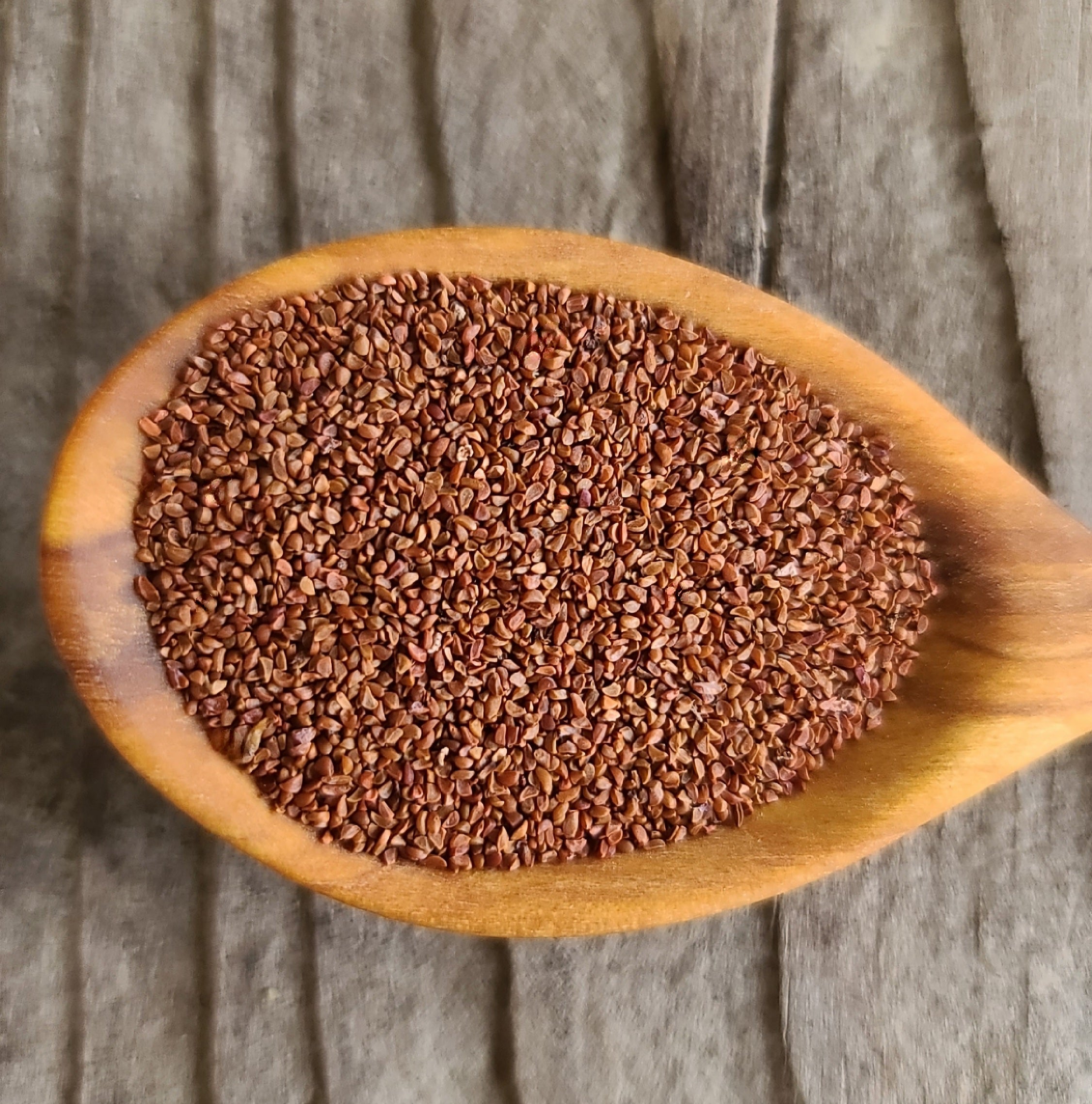 Red huckleberry seeds