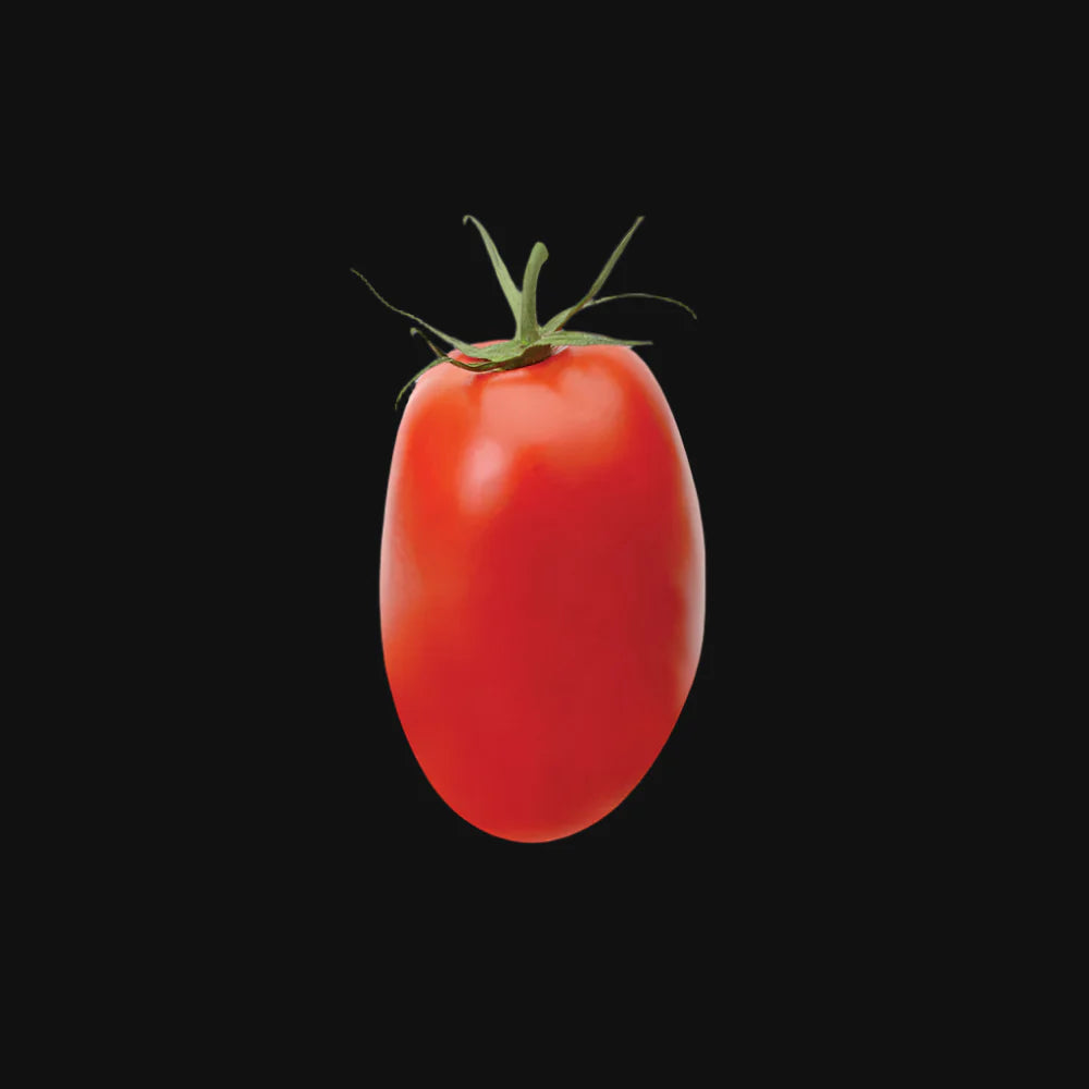Semences de tomate Red Roma