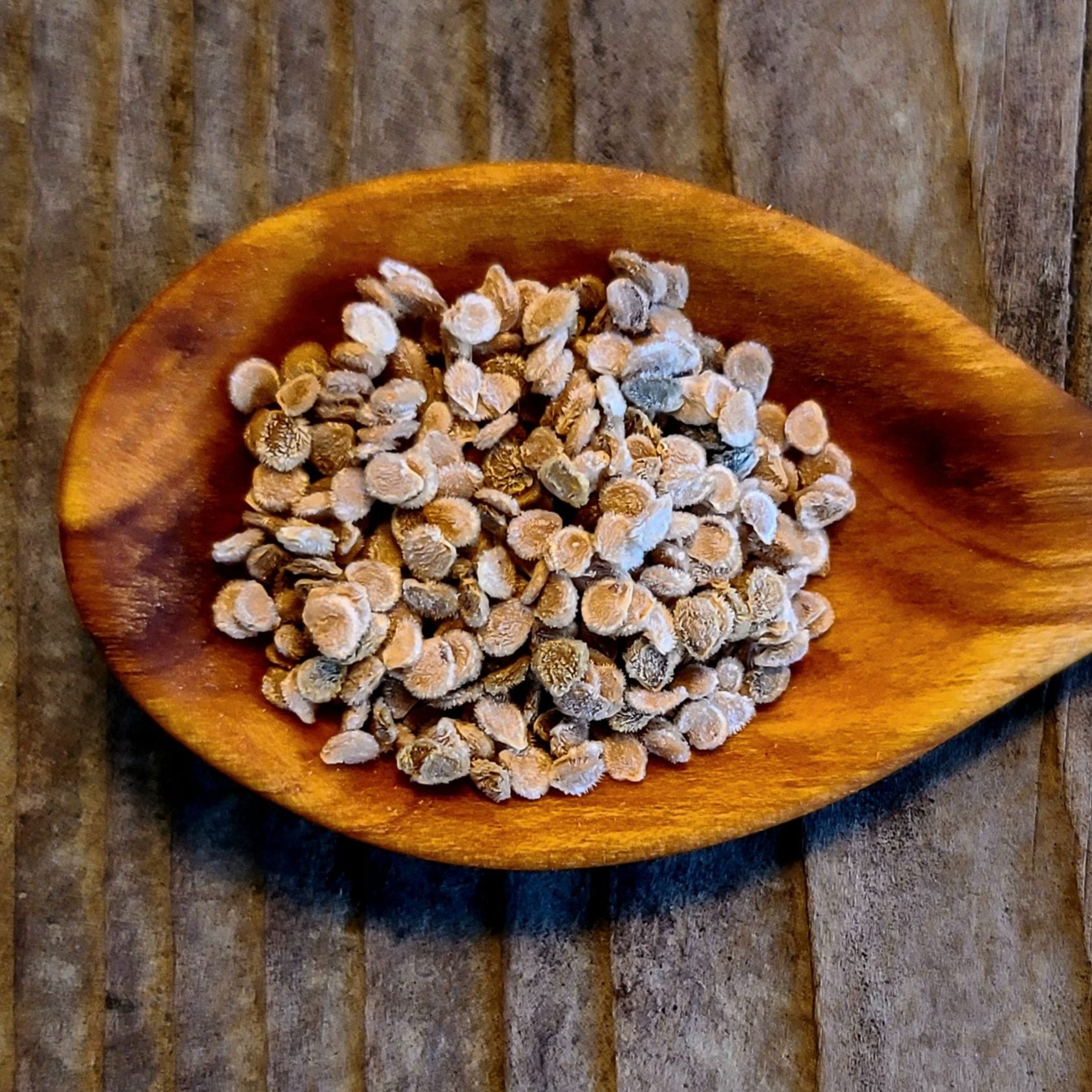 Speckled Roman tomato seeds