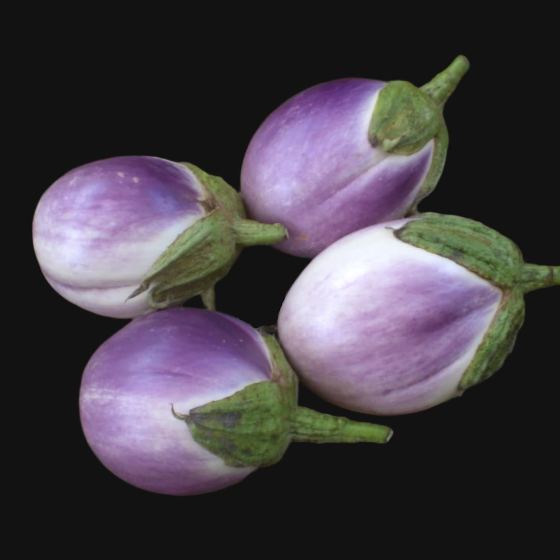 Mixed eggplant seeds
