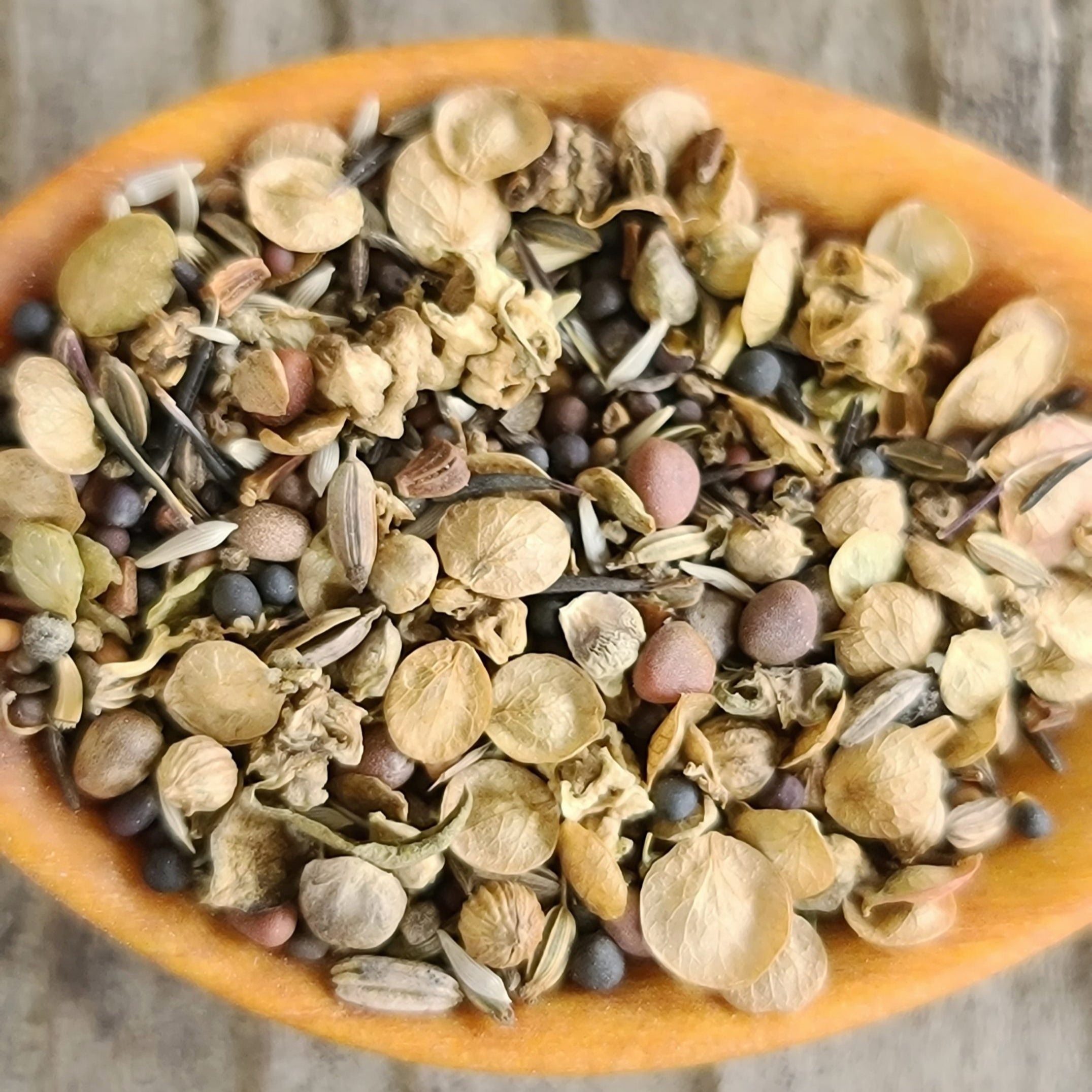 Salad mix seeds