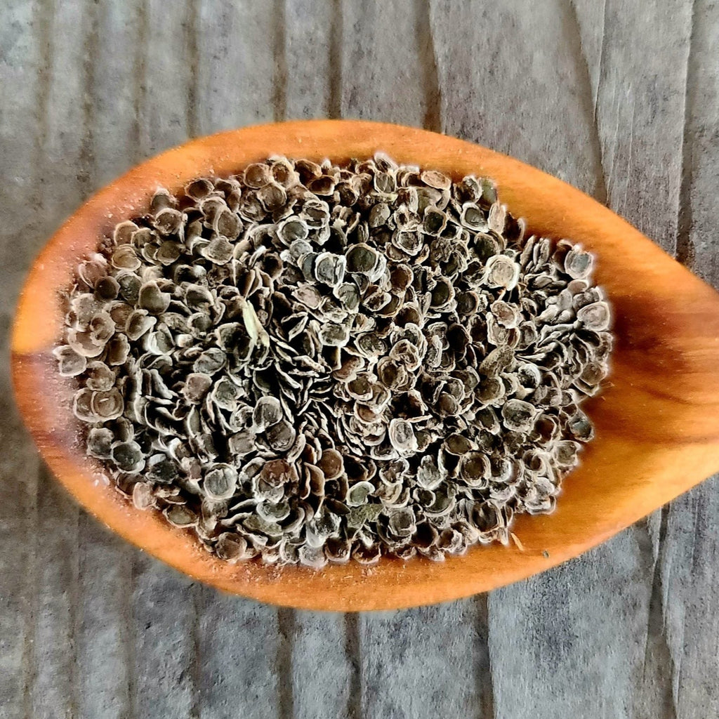 Night Scented Stock seeds