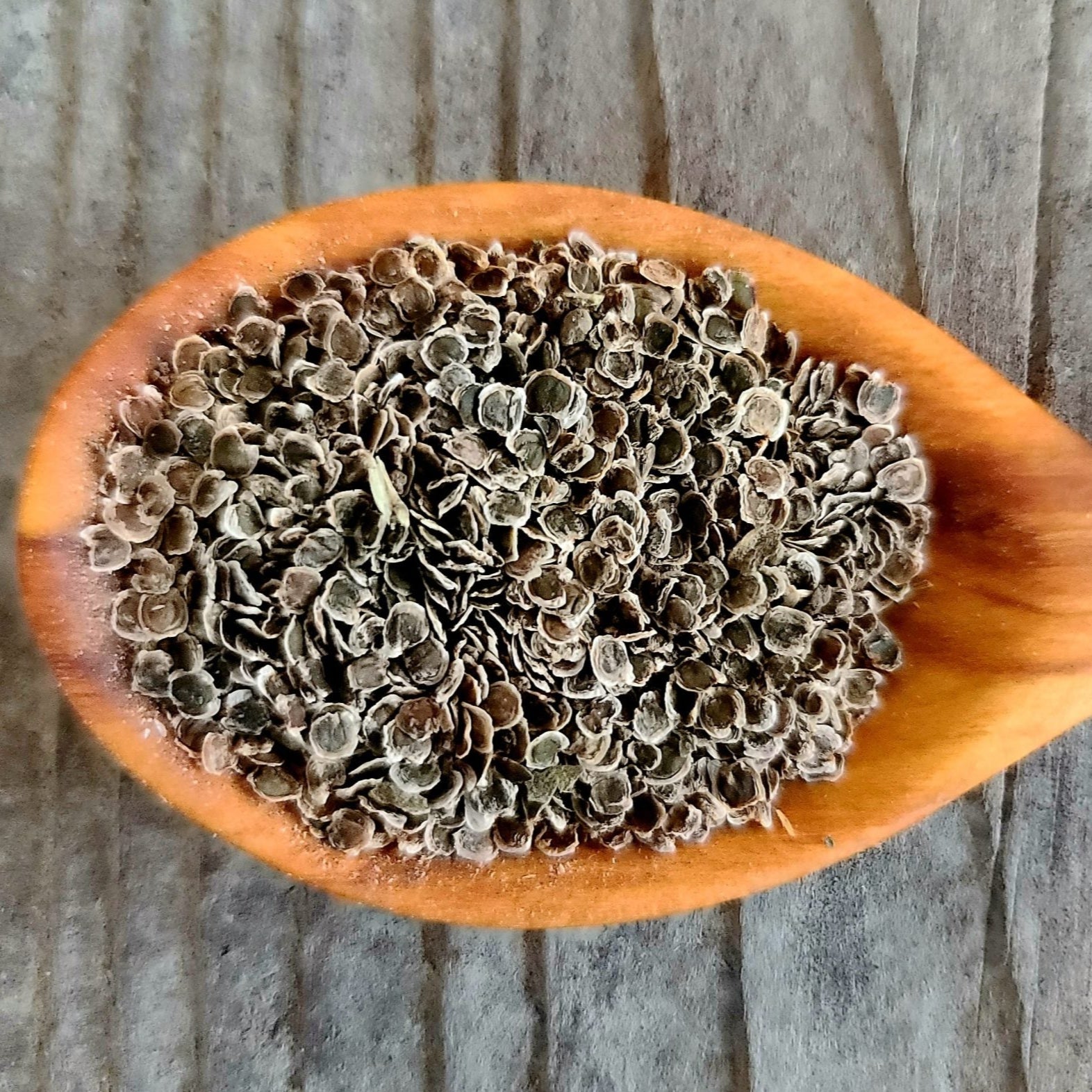 Night Scented Stock seeds