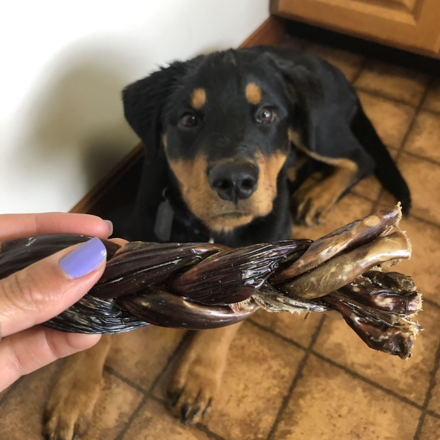 Bâtonnets de viande de bœuf séchée tressés 6 po