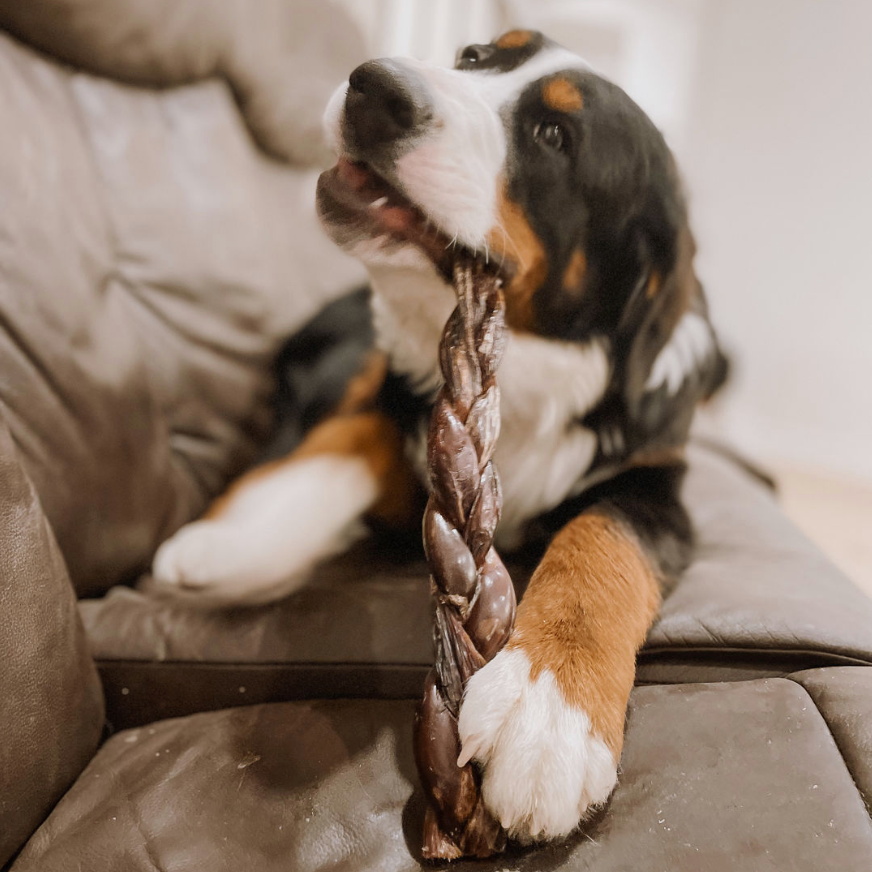 12-inch Braided Beef Jerky Treats