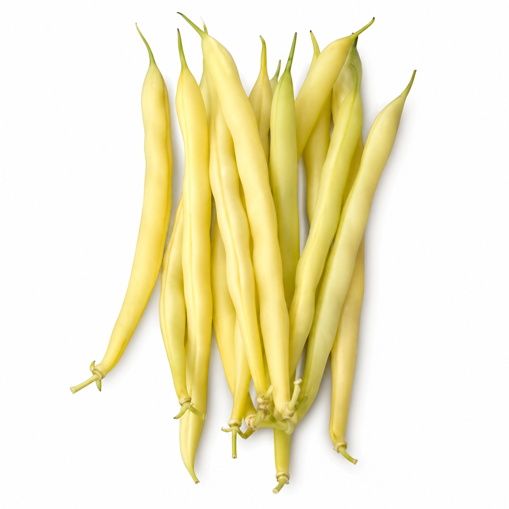 Semences de Haricot Goldrush