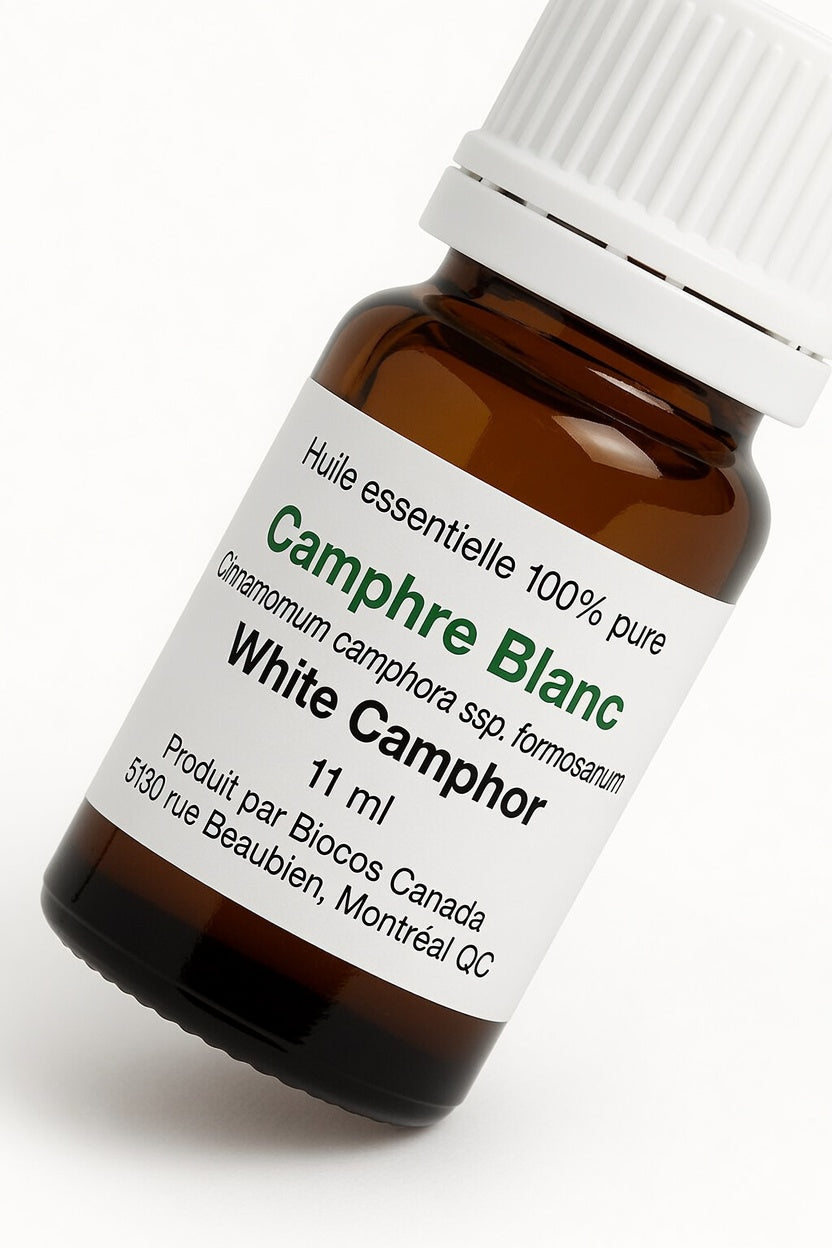 Huile essentielle de Camphre Blanc