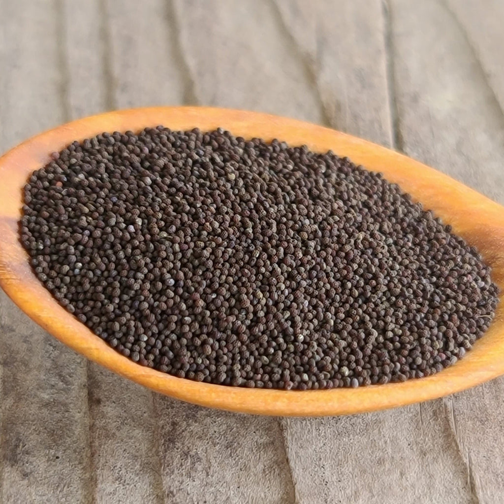 Shirley Poppy Seeds